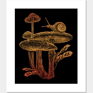 Mushrooms & Snail Y Posters and Art